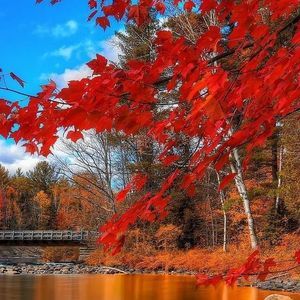 Meet your Posher, Sylvia